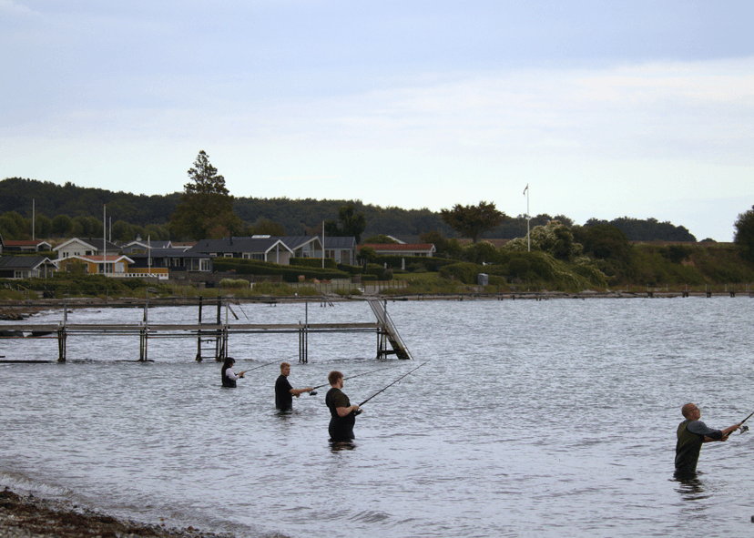 Fisketur langs kysten